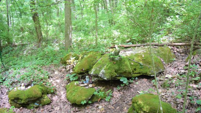 Shrine in the woods